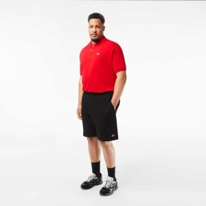 Black Lacoste Big Fit Organic Cotton Brushed Fleece Shorts | FEDVKO-576