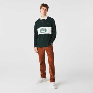 Brown Lacoste Straight Fit Corduroy Chinos | CGOLMP-165