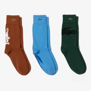 Brown / White / Green / Black / Blue Lacoste Crocodile Pattern Sock Three-Pack | RFSWOG-264