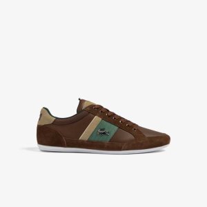 Dk Brw/Dk Grn Lacoste Chaymon Leather Sneakers | AWMNXK-192