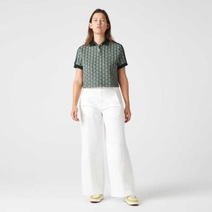 Green / Beige Lacoste Regular Fit Monogram Print Polo | ATSMFK-413