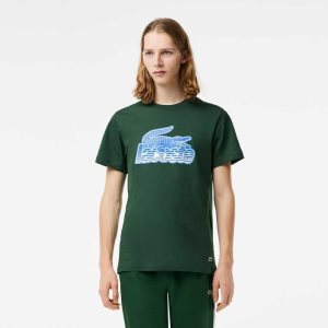 Green Lacoste Cotton Jersey Print T-Shirt | IKYZFE-549