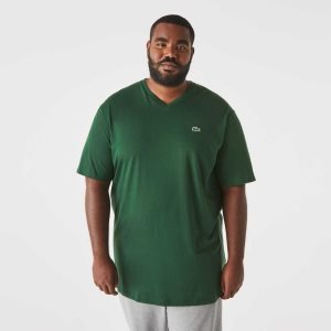 Green Lacoste Tall Fit Ribbed V-Neck Cotton Polo Shirt | TSWDRA-140