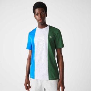 Grey Chine / Blue / Green Lacoste Branded Crew Neck Cotton T-Shirt | SXPJDU-935