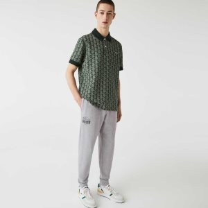 Grey Chine Lacoste Crocodile Branding Cotton Fleece Jogging Pants | DQOTXB-271