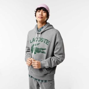 Grey Chine Lacoste Loose Fit Crocodile Hooded Sweatshirt | WUBPQX-561