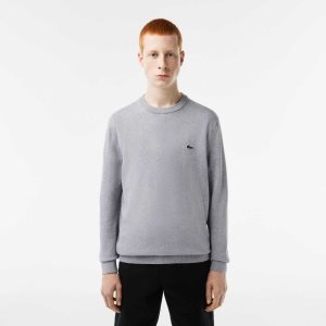 Grey Chine Lacoste Organic Cotton Crew Neck Sweater | ZIVAJM-615