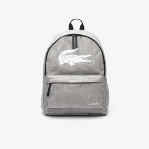 Gris Chine Lacoste Backpack with Laptop Pocket | EJAXFU-465