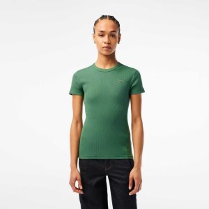 Khaki Green Lacoste Slim Fit Organic Cotton T-Shirt | IBATQC-018