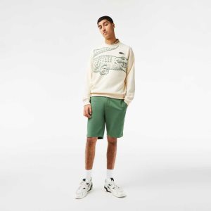 Khaki Green Lacoste Slim Fit Stretch Cotton Bermuda Shorts | OPXDFR-984