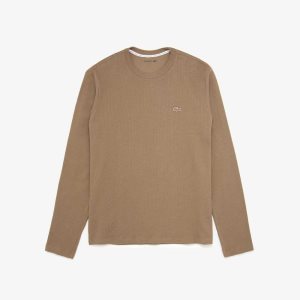 Light Brown Lacoste Long Sleeve Lounge T-Shirt | WVLNYA-028