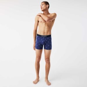 Navy Blue / Grey Chine / Red Lacoste Branded Waist Long Stretch Cotton Boxer Brief 3-Pack | WOEGHV-671