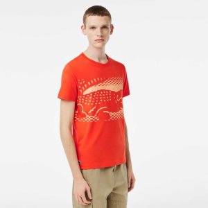 Orange Lacoste Tennis x Novak Djokovic T-Shirt | WSCYKT-105