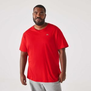 Red Lacoste Big Fit Crew Neck Cotton Jersey T-Shirt | INLFEJ-026