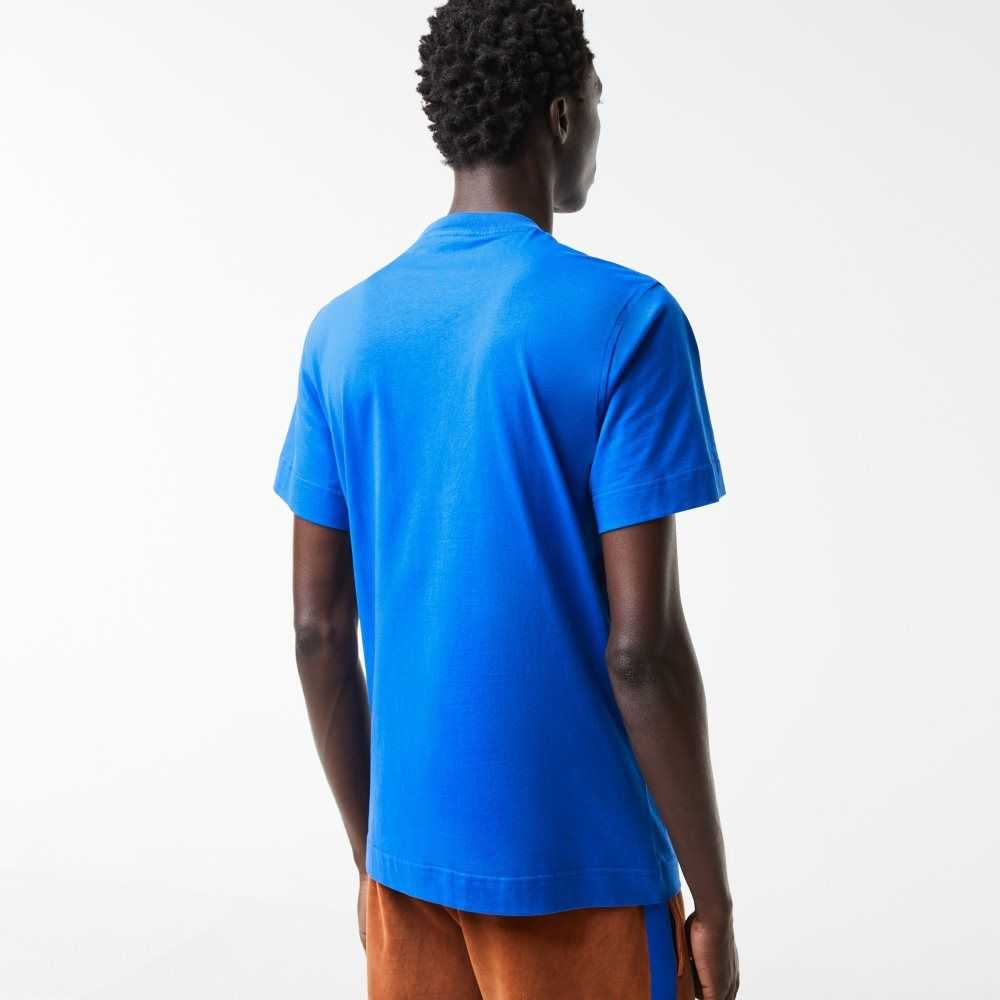 Blue Lacoste Regular Fit Contrast Lettering Cotton T-Shirt | JGSURE-851