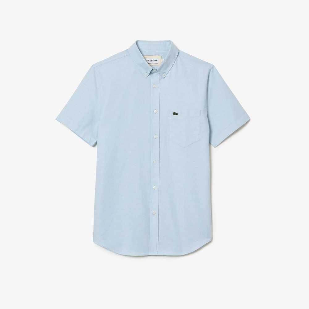 Blue Lacoste Regular Fit Cotton Shirt | SMLWIN-137