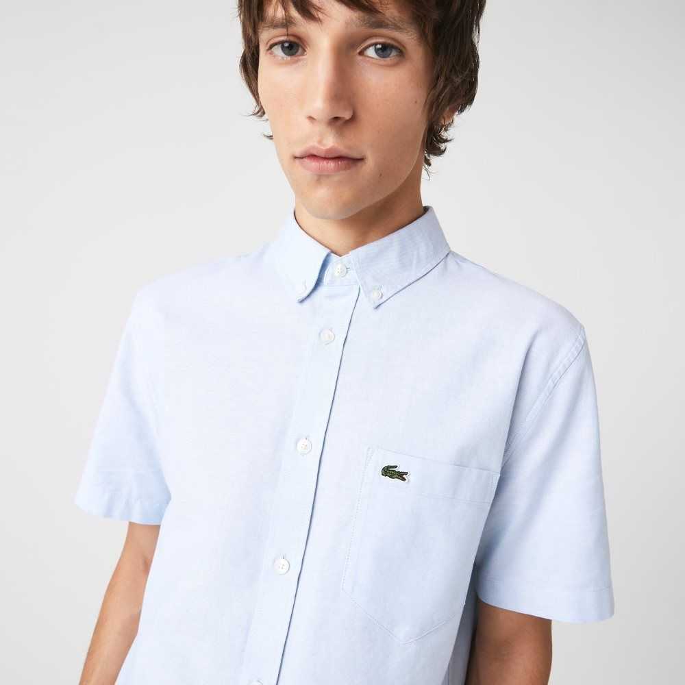 Blue Lacoste Regular Fit Cotton Shirt | SMLWIN-137