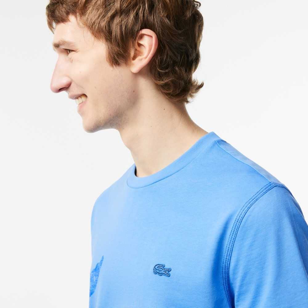 Blue Lacoste Regular Fit Organic Cotton Jersey T-Shirt | FOLMVW-098