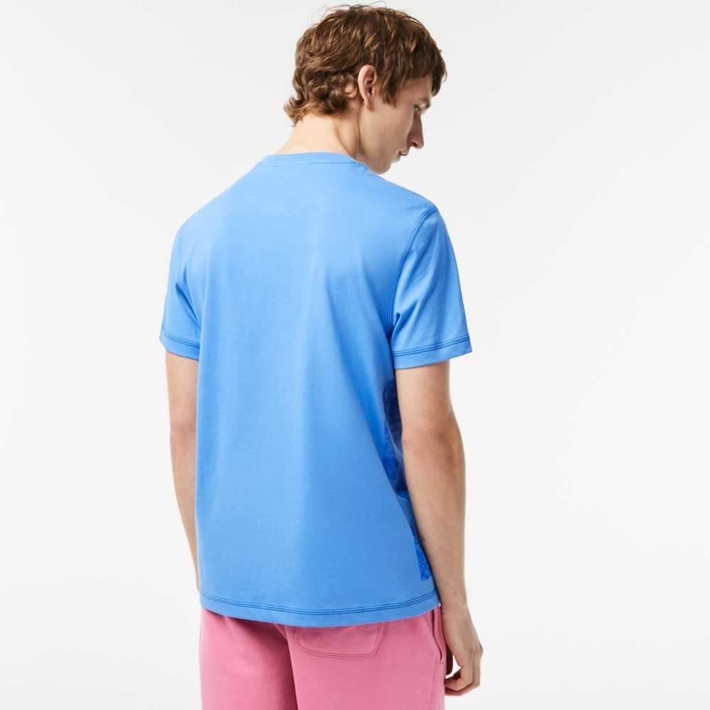 Blue Lacoste Regular Fit Organic Cotton Jersey T-Shirt | FOLMVW-098