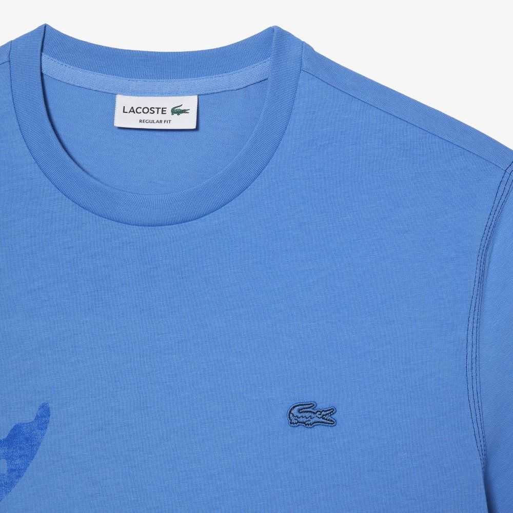 Blue Lacoste Regular Fit Organic Cotton Jersey T-Shirt | FOLMVW-098