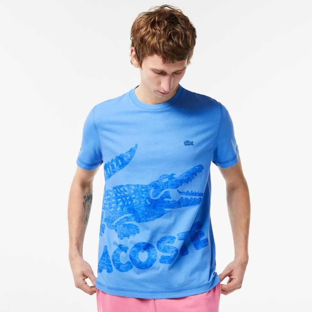 Blue Lacoste Regular Fit Organic Cotton Jersey T-Shirt | FOLMVW-098