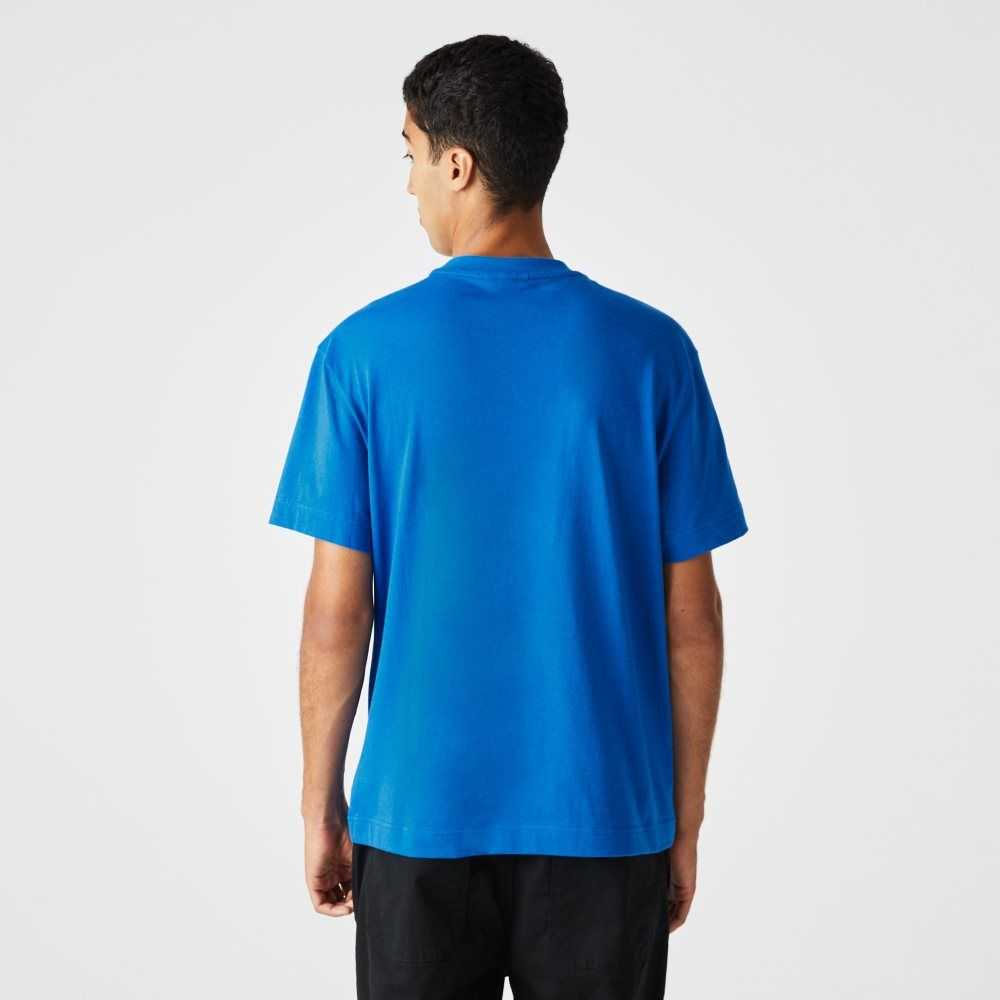 Blue Lacoste Relaxed Fit Crocodile T-Shirt | ANVCFM-130