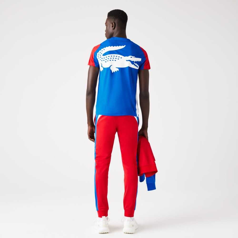 Blue / Red / White Lacoste SPORT Crocodile Print Tennis T-Shirt | XFZQMG-694