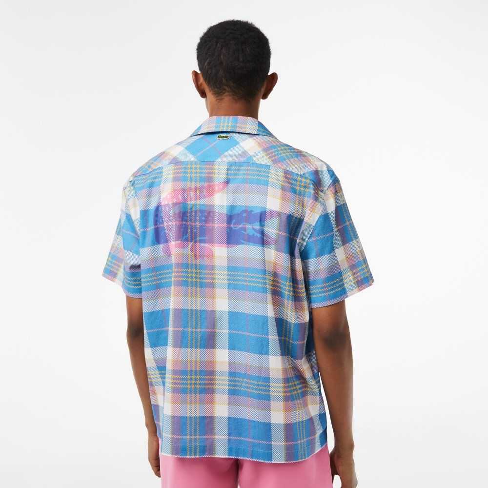 Blue / White Lacoste Short Sleeve Organic Cotton Check Shirt | FRPOLJ-792