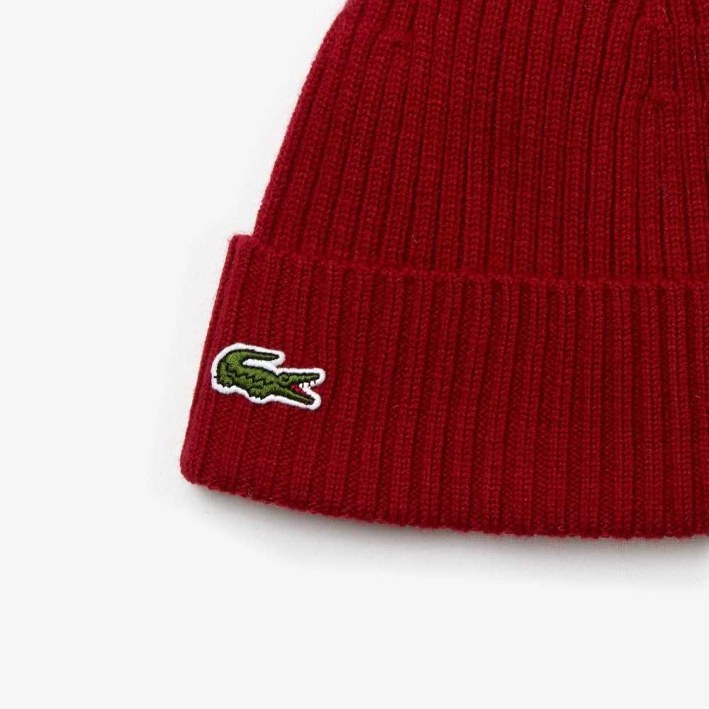 Bordeaux Lacoste Ribbed Wool Beanie | DHQOBF-178