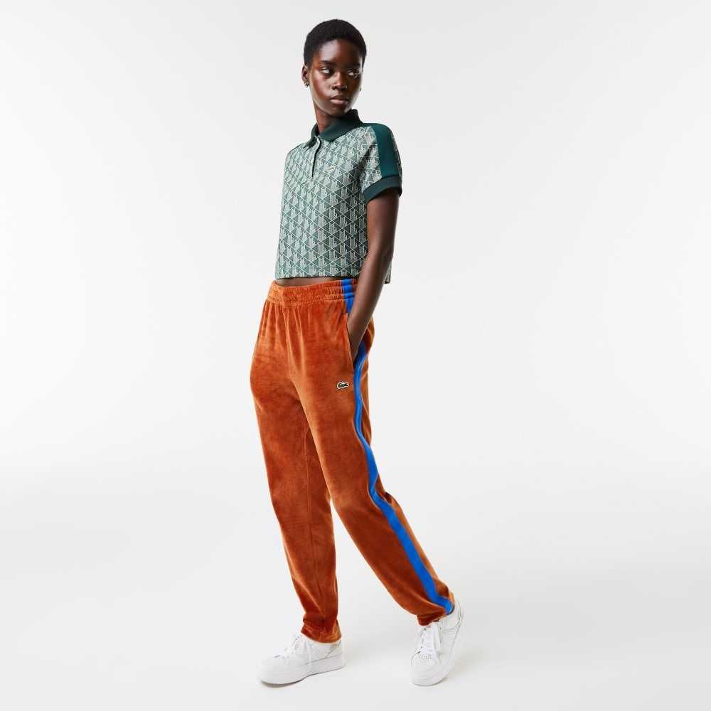 Brown Lacoste Side Contrast Band Trackpants | GUKWSA-043