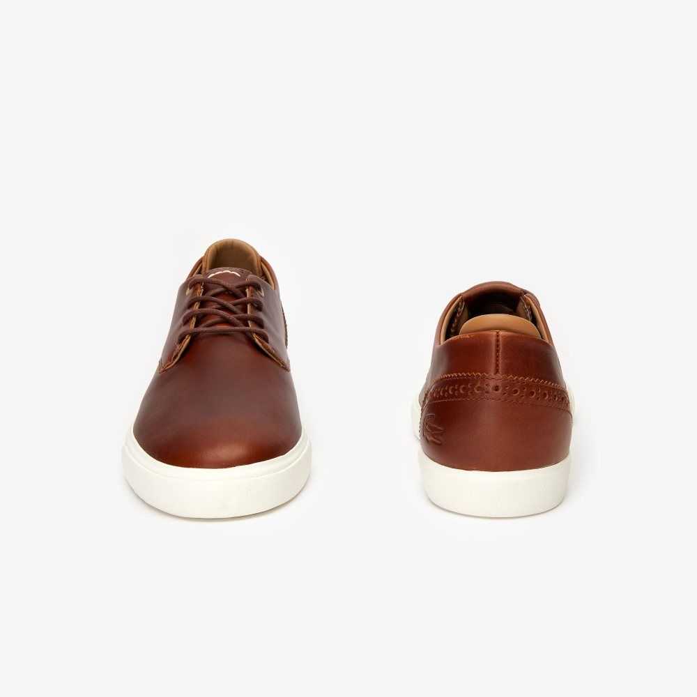 Brw/Off Wht Lacoste Esparre Club Leather Trainers | GLXPCQ-078