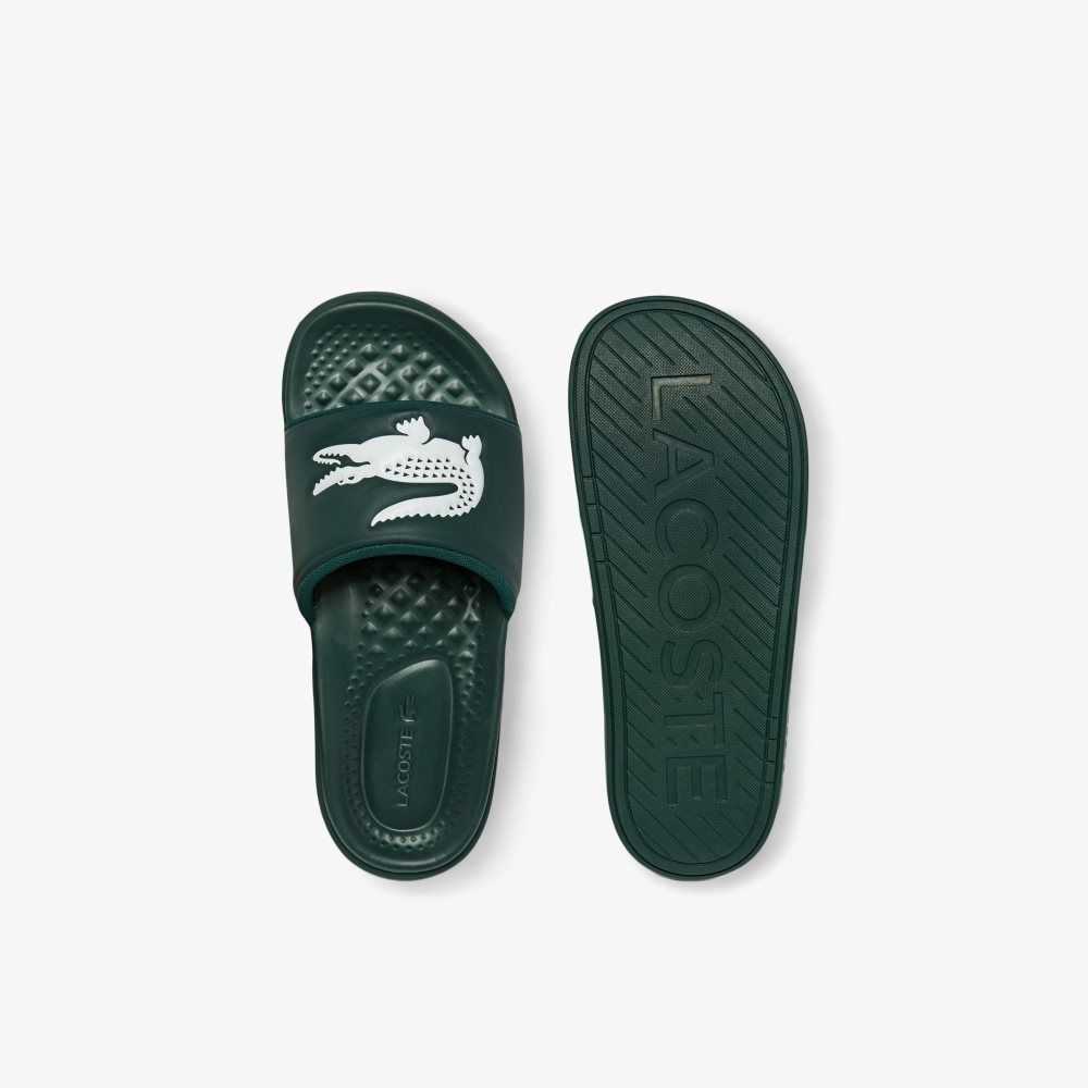 Dk Grn/Wht Lacoste Croco Dualiste Logo Strap Slides | TPEHUX-107