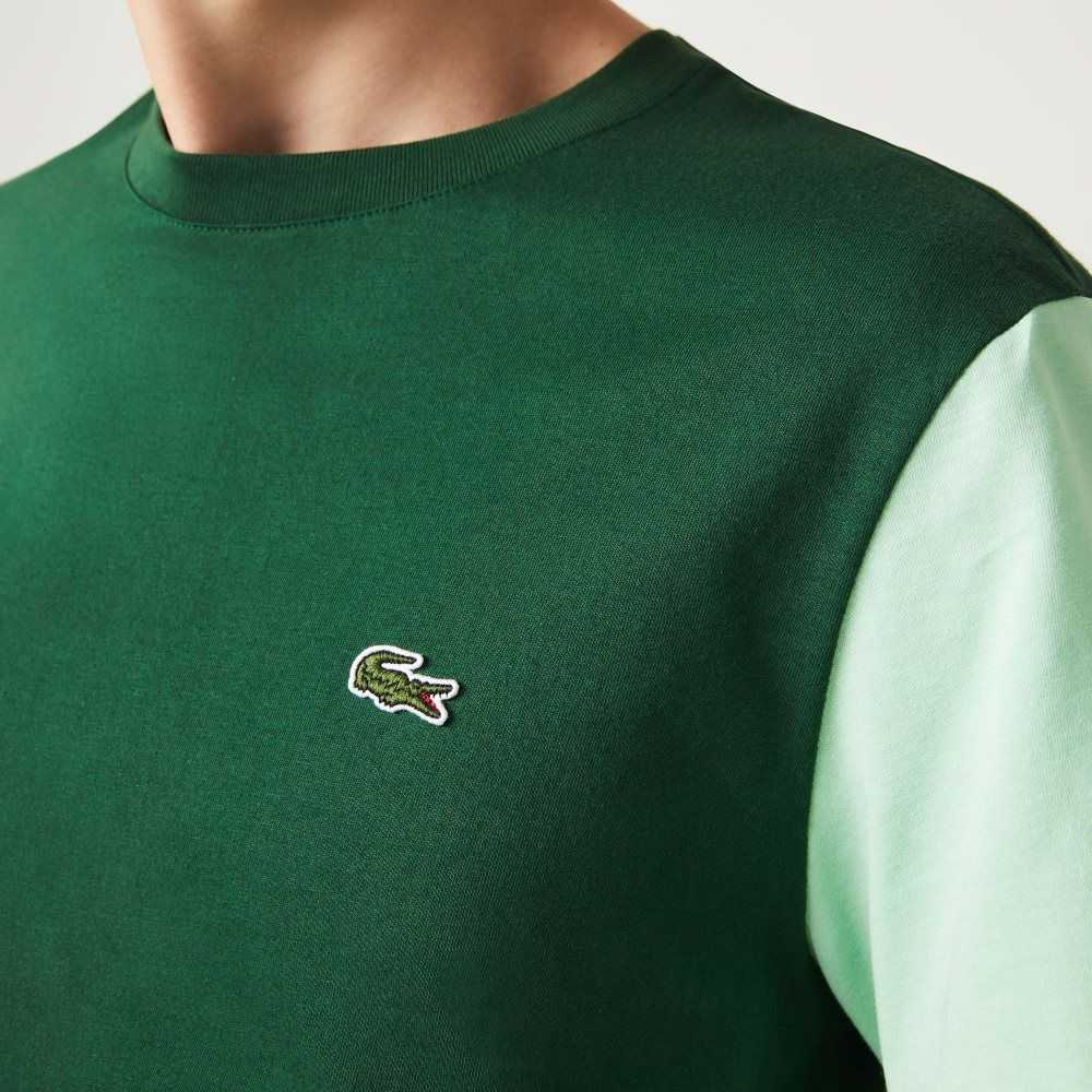 Green / Blue / Light Green Lacoste Regular Fit Colorblock Cotton Jersey T-Shirt | QZHIRD-859