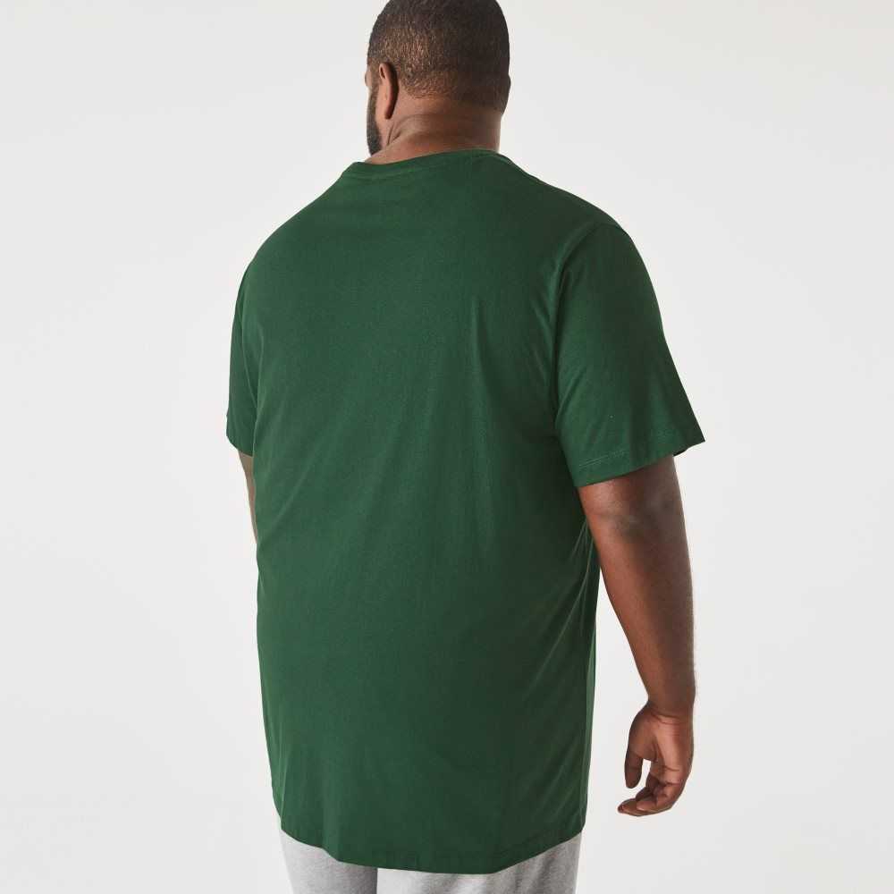 Green Lacoste Big Fit Crew Neck Cotton Jersey T-Shirt | FGINCH-857