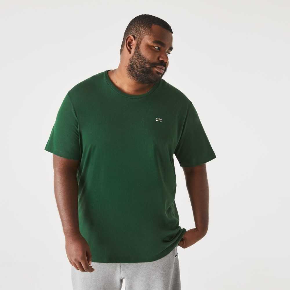 Green Lacoste Big Fit Crew Neck Cotton Jersey T-Shirt | FGINCH-857