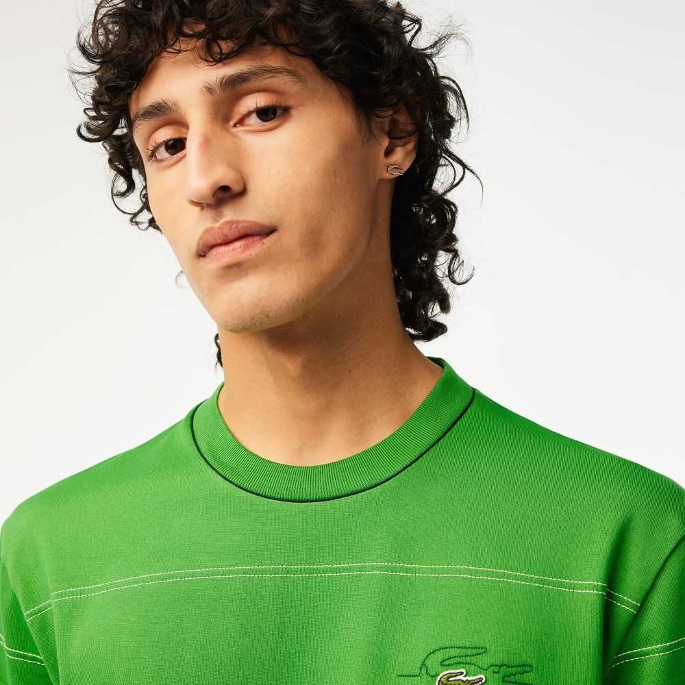 Green Lacoste Organic Cotton Jersey Stripe T-Shirt | NUMZAQ-041