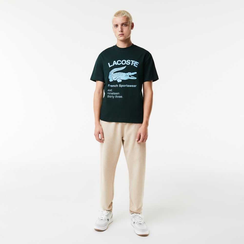 Green Lacoste Relaxed Fit Crocodile T-Shirt | OHTJYD-286