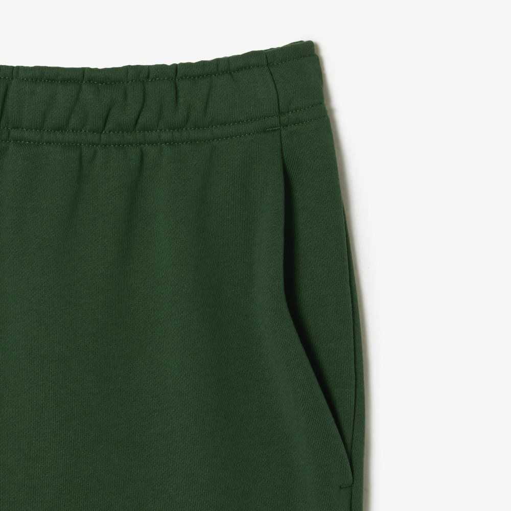 Green Lacoste SPORT Roland Garros Edition Flannel Shorts | GUMAYB-570