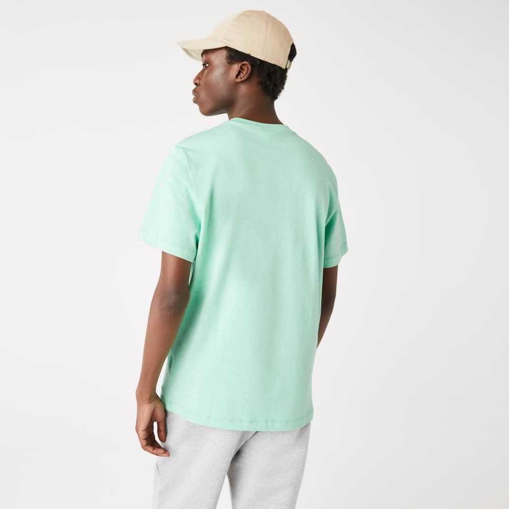 Green Lacoste Signature And Crocodile Print Crew Neck Cotton T-Shirt | ZIUYKH-187