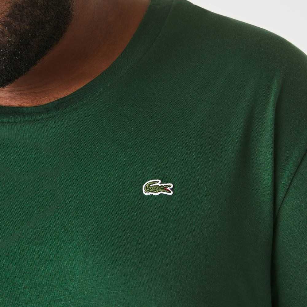 Green Lacoste Tall Fit Pima Cotton Jersey T-Shirt | NUEMVJ-392