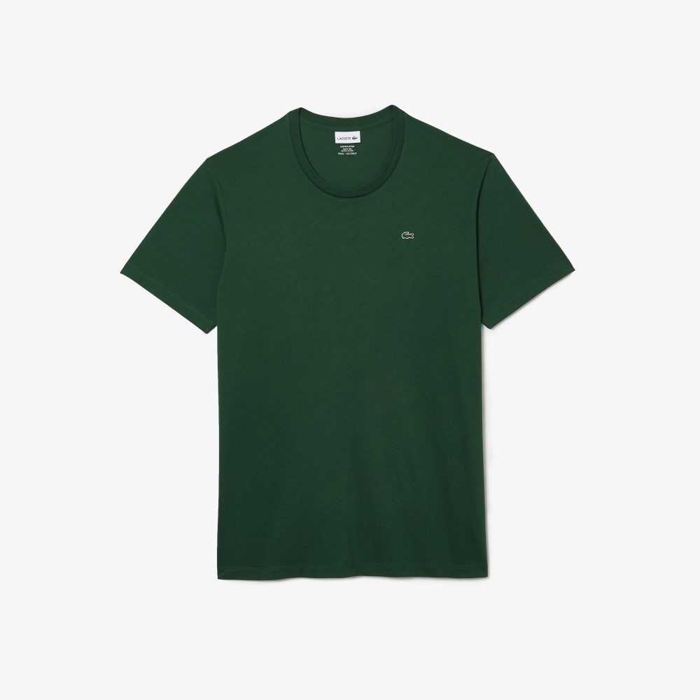 Green Lacoste Tall Fit Pima Cotton Jersey T-Shirt | NUEMVJ-392