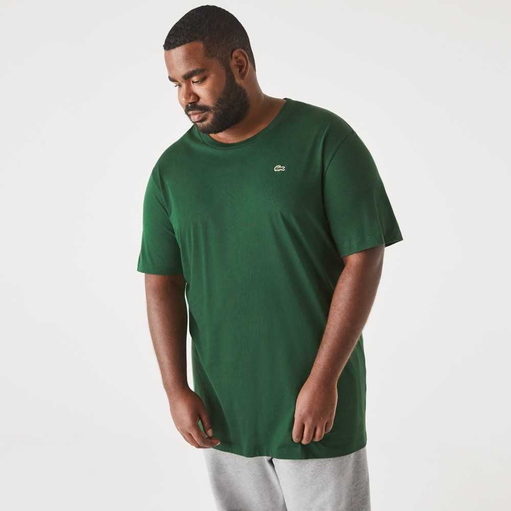 Green Lacoste Tall Fit Pima Cotton Jersey T-Shirt | NUEMVJ-392