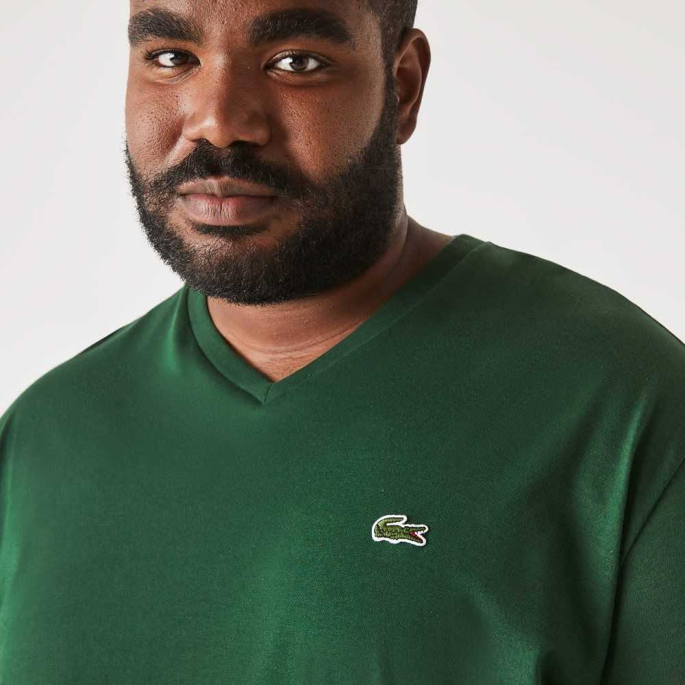 Green Lacoste Tall Fit Ribbed V-Neck Cotton Polo Shirt | TSWDRA-140