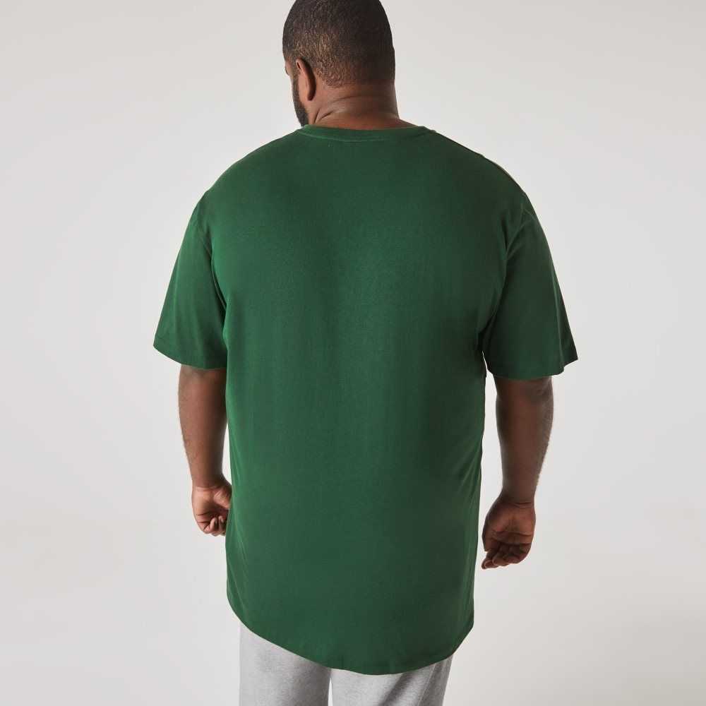 Green Lacoste Tall Fit Ribbed V-Neck Cotton Polo Shirt | TSWDRA-140