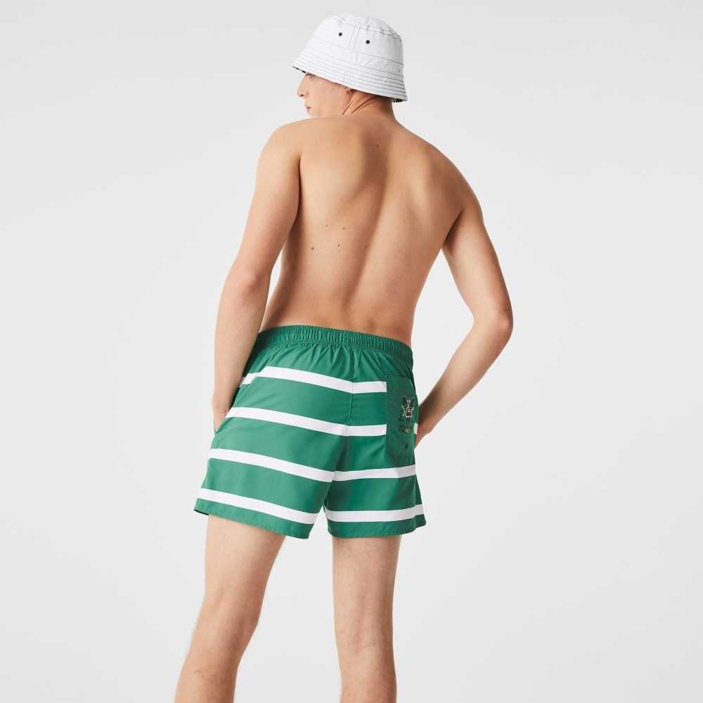 Green / White Lacoste Striped And Embroidered Light Swimming Trunks | IYWERP-926