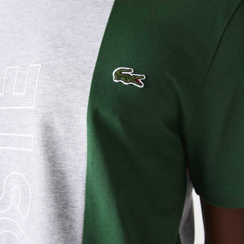 Grey Chine / Blue / Green Lacoste Branded Crew Neck Cotton T-Shirt | SXPJDU-935