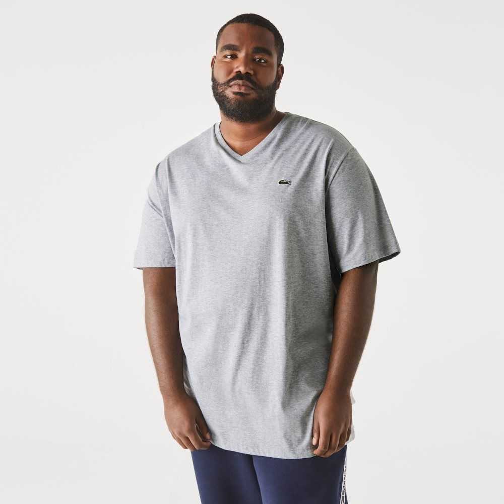 Grey Chine Lacoste Big Fit V-Neck Jersey T-Shirt | ZNFRJO-893