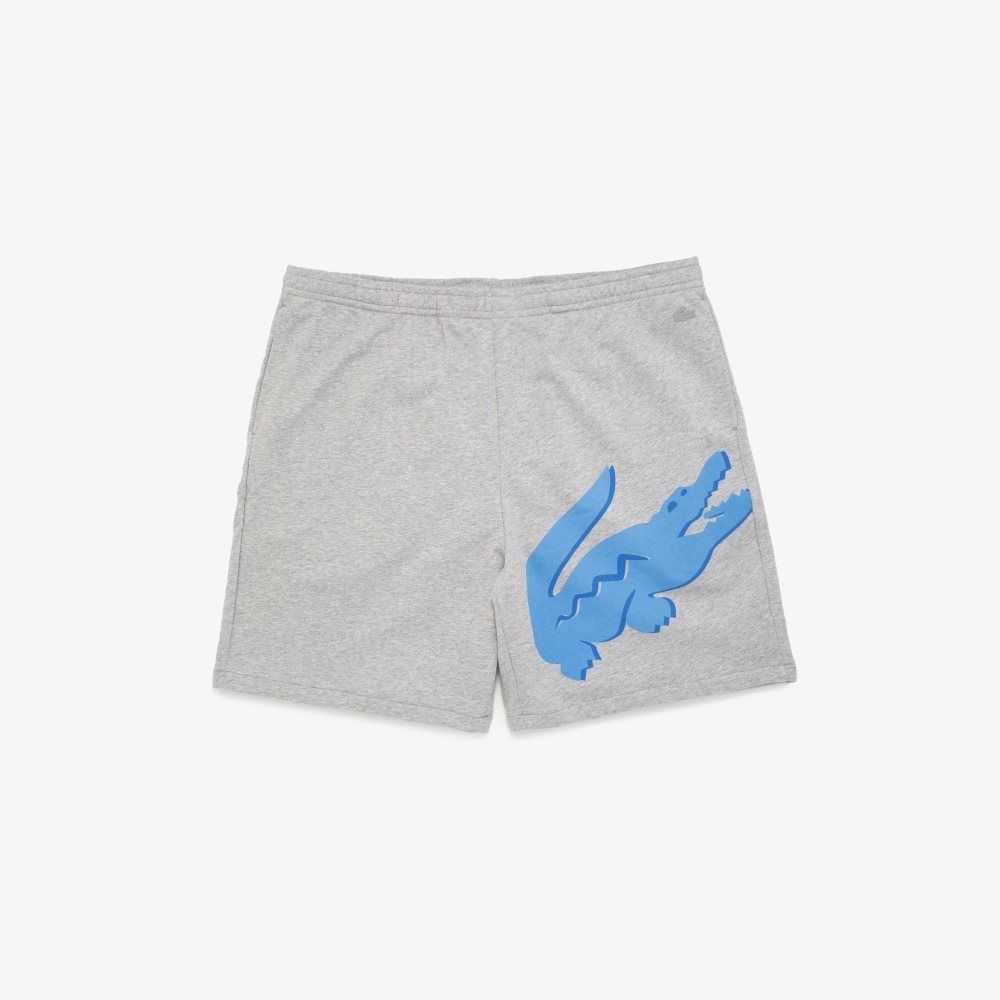 Grey Chine Lacoste Big Fit XL Croc Cotton Shorts | DGNWQV-784