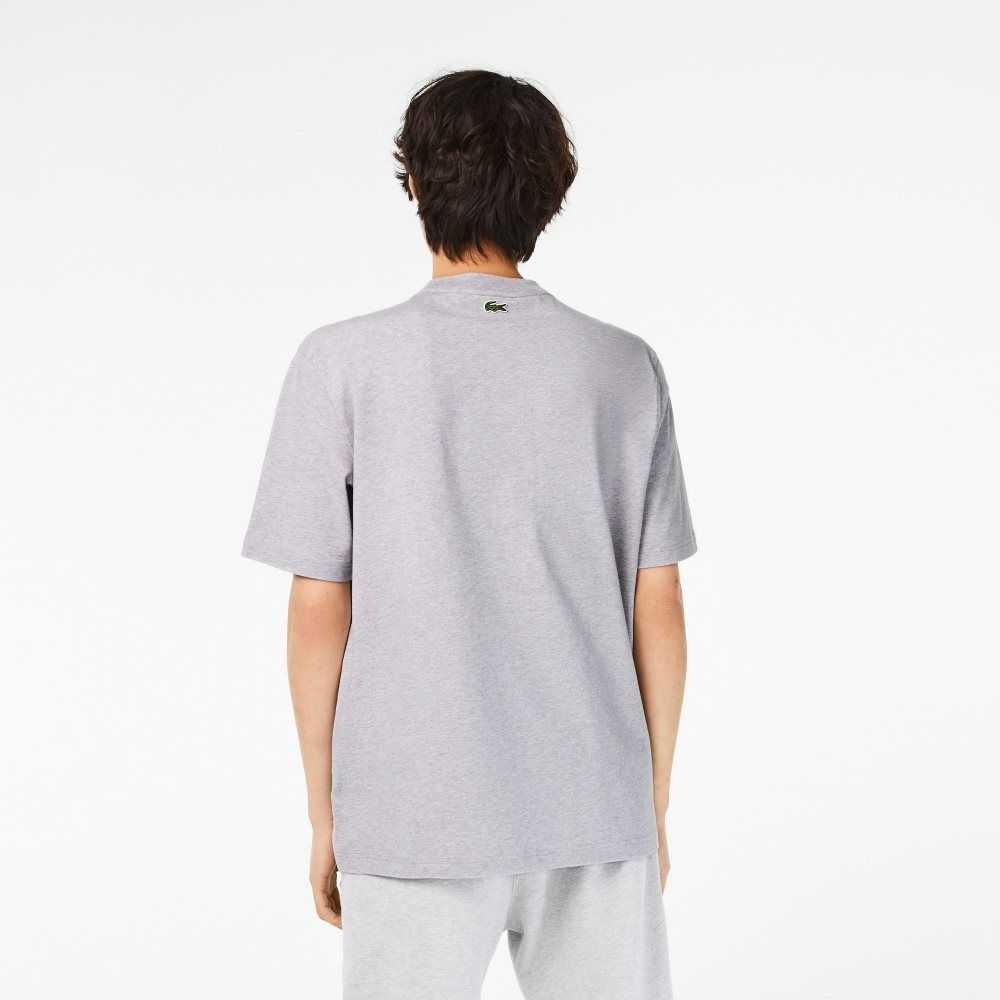 Grey Chine Lacoste Crew Neck Loose Fit Crocodile Print T-Shirt | EJGLAY-138