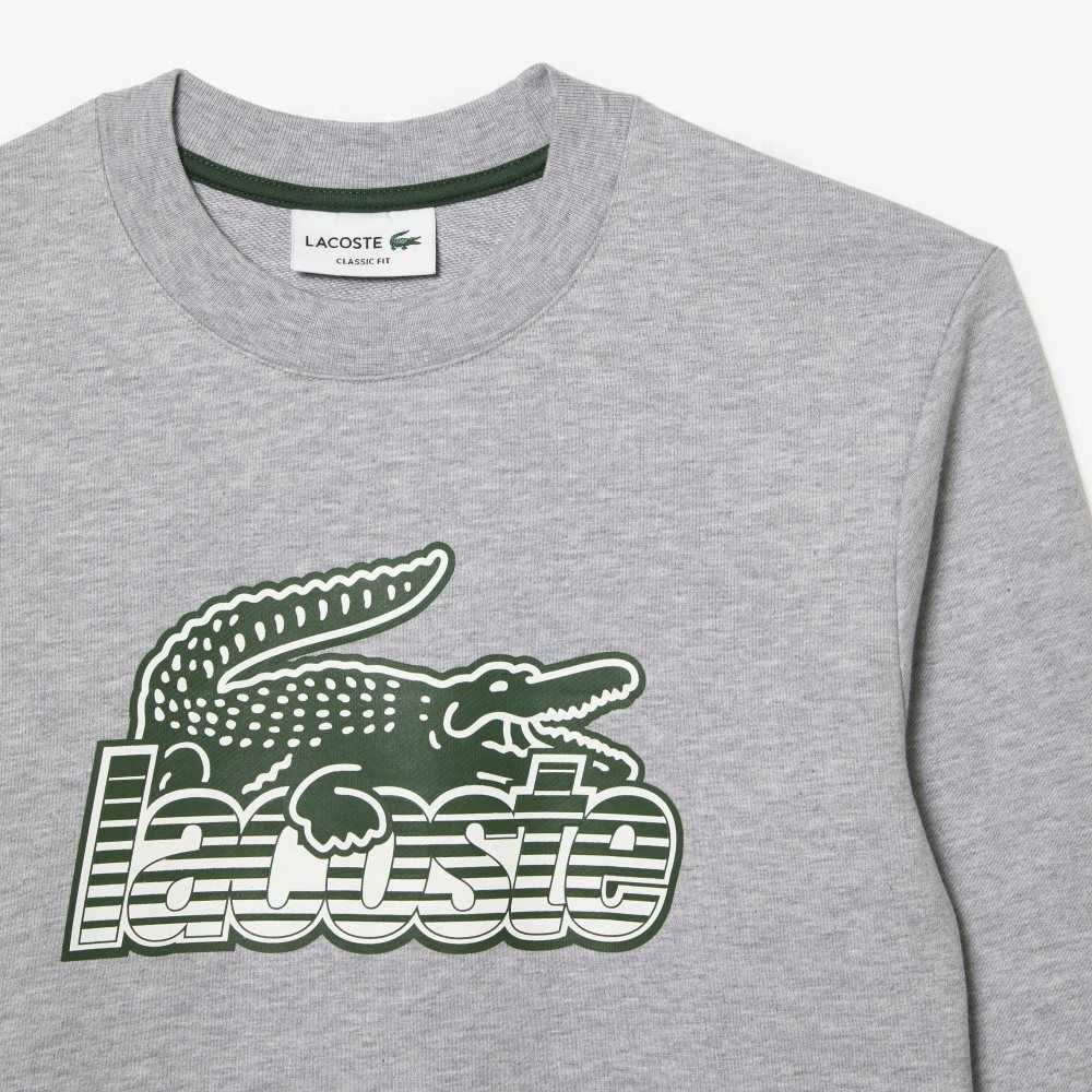 Grey Chine Lacoste Crew Neck Unbrushed Fleece Sweatshirt | QUWZAR-820